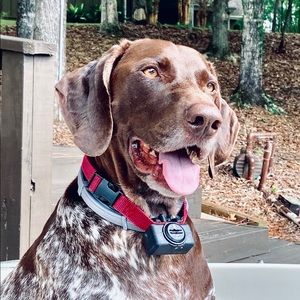 Meet your Posher, Rob